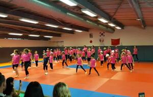 Vid enfants, ann 2018, professeur Caroline Hamis